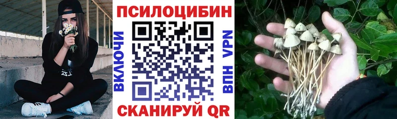 дарнет шоп  Мариинский Посад  Псилоцибиновые грибы MAGIC MUSHROOMS 